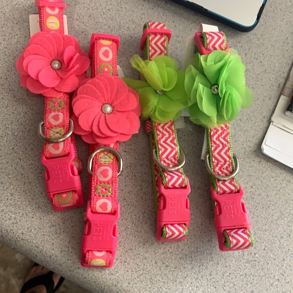 Dog Martha Stewart Dog Collar Poshmark